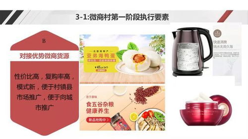 电商社交新模式助力农产品上行——野农优品创始人勾英达谈配送服务创新