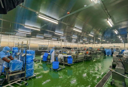 配送服务背后的质量坚守 七道检测下的2.6万名师生体验