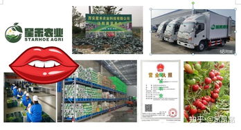 西安食材配送服务中心 专业一站式配送服务，助力餐饮与家庭食材供应